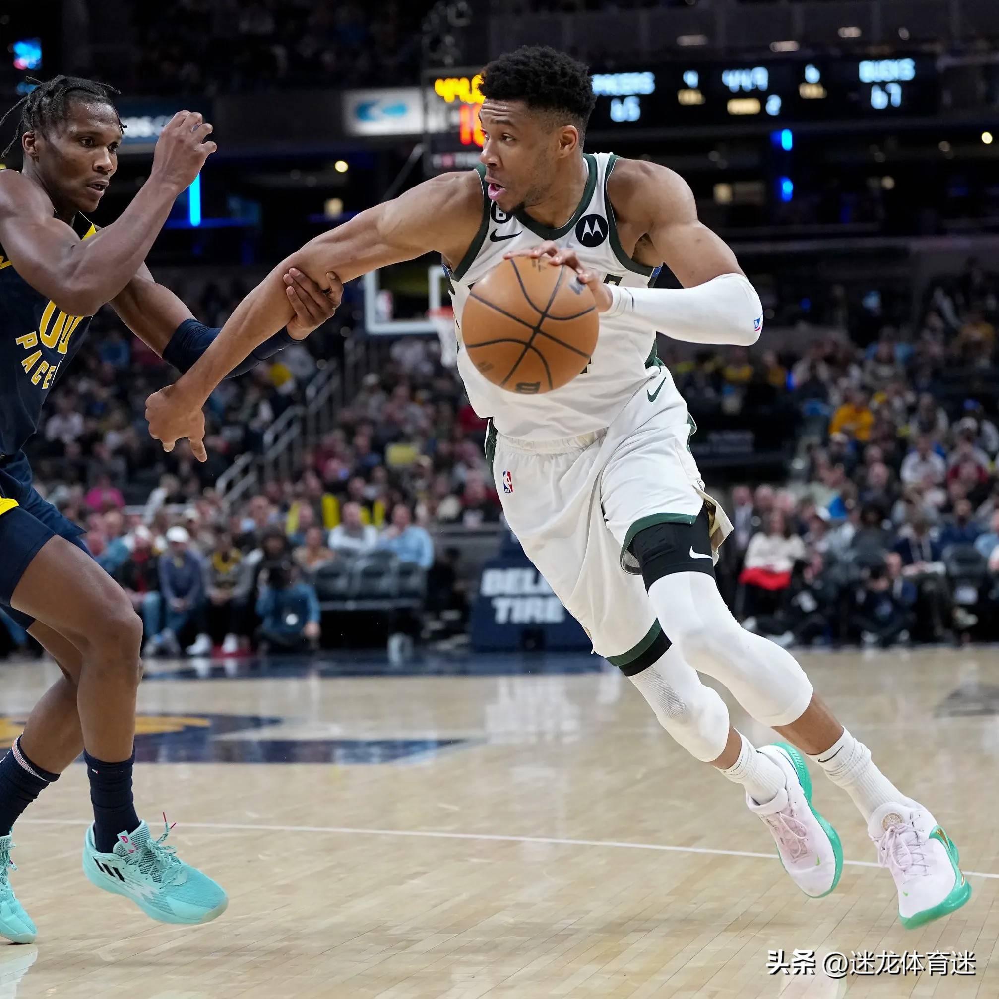 包含雄鹿核心字母哥备战战术,带领球队更进一步的词条 包含雄鹿核心字母哥备战战术,带领球队更进一步的词条