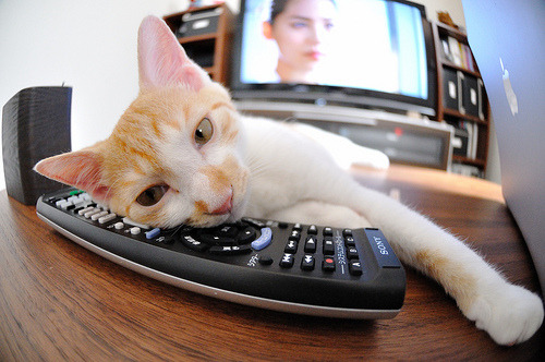 当国王遇见国王,山西队的洛杉矶奇袭夜