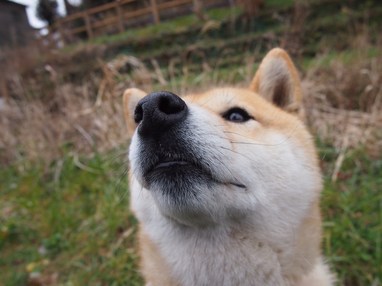 钢铁防线与奔袭风暴，一场篮球场上的欧冠决赛