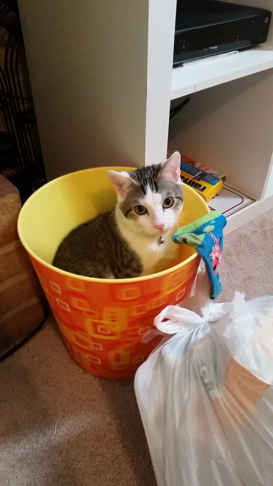 唯一的风暴眼，当詹姆斯在五棵松为掘金降下王者之印