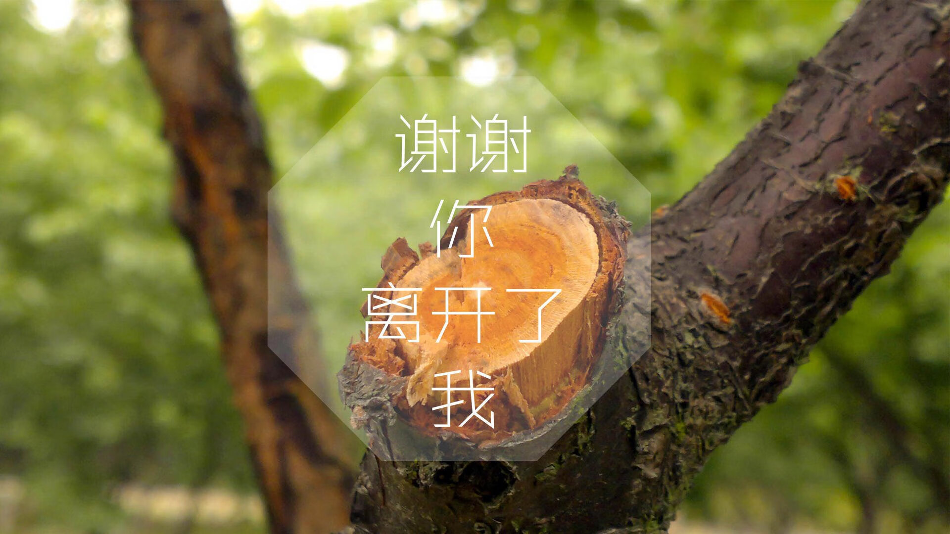 以下是为你构思的文章标题和内容