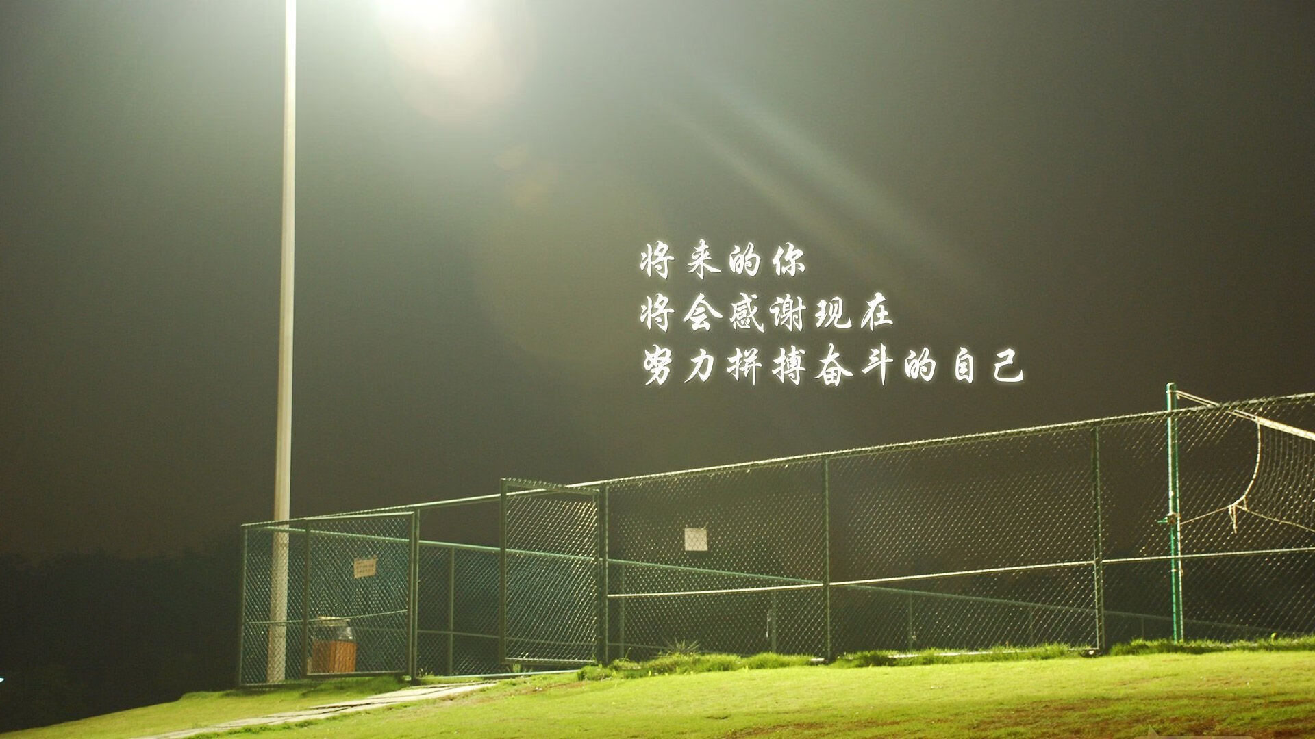 蜂翼与球王，双冠神话背后的终极凯旋