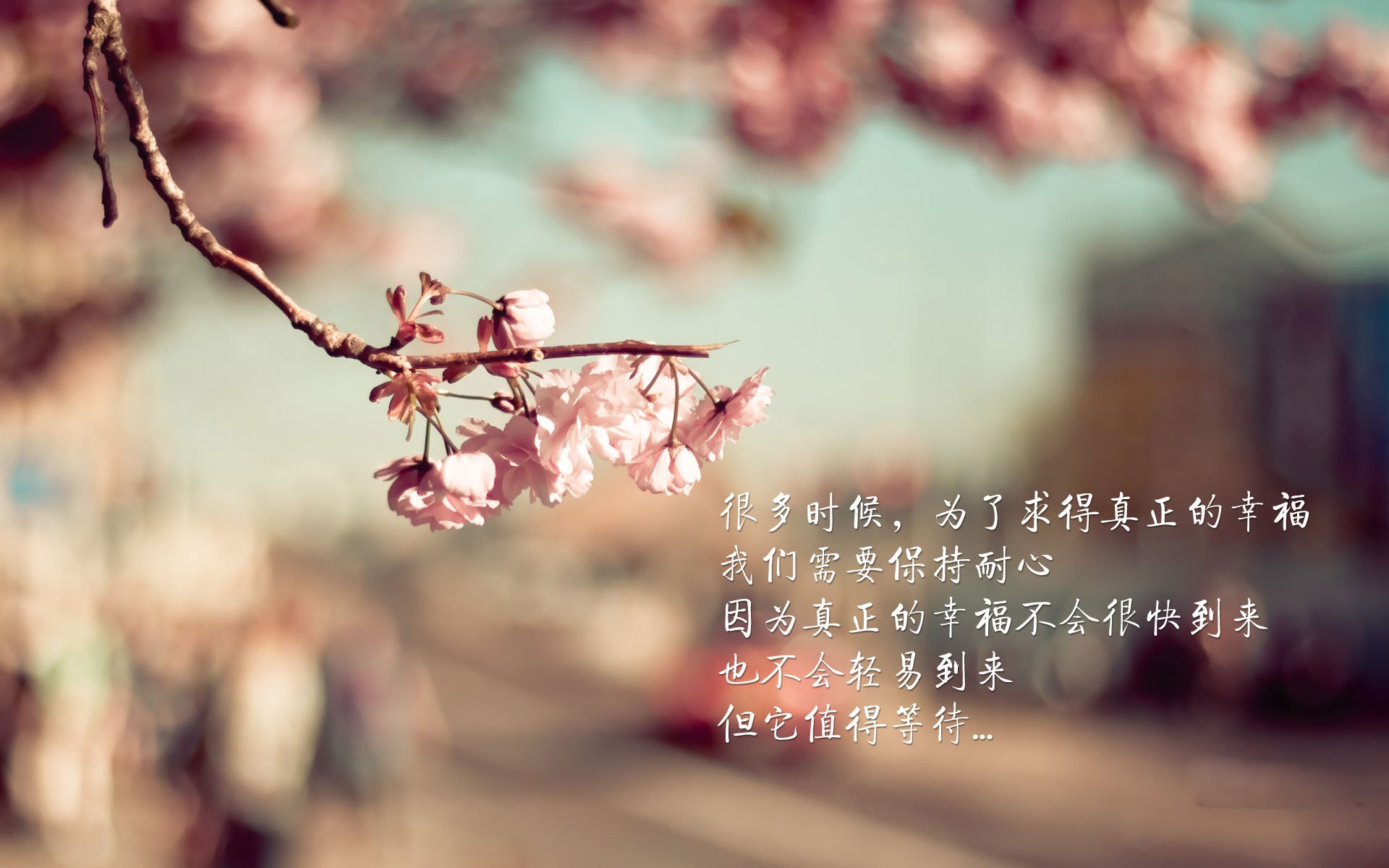 孤星绝杀，2026世界杯生死战，罗马尼亚逆转捷克，哈兰德一剑封喉