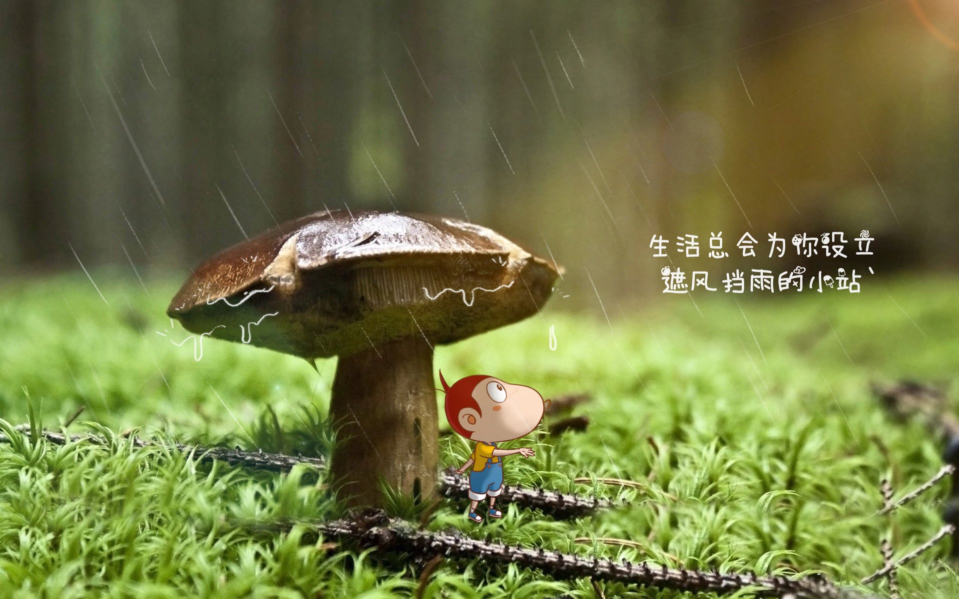蓝桥遗梦，2026世界杯C组关键战，坎塞洛孤胆英雄力挽狂澜，奥地利绝杀罗马尼亚